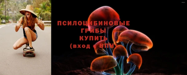 не бодяженный Арсеньев