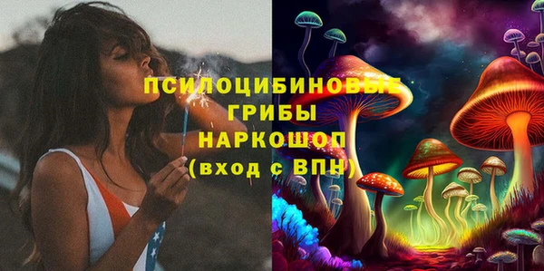 крисы Балахна